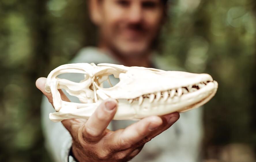 Nature Knowledge Expert