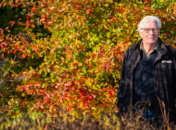 Piet Oudolf