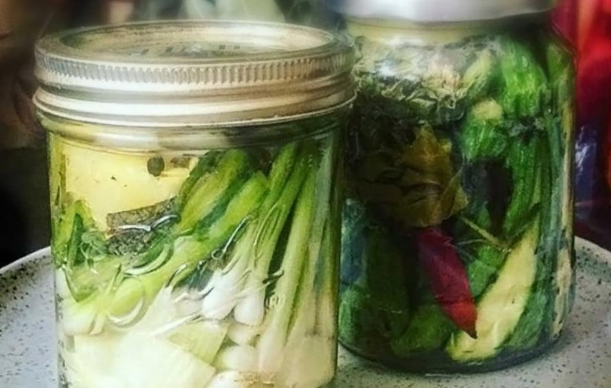 Fermenting Taste & Health