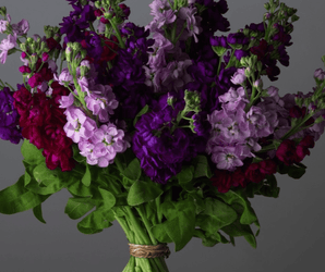 Flower Arranging