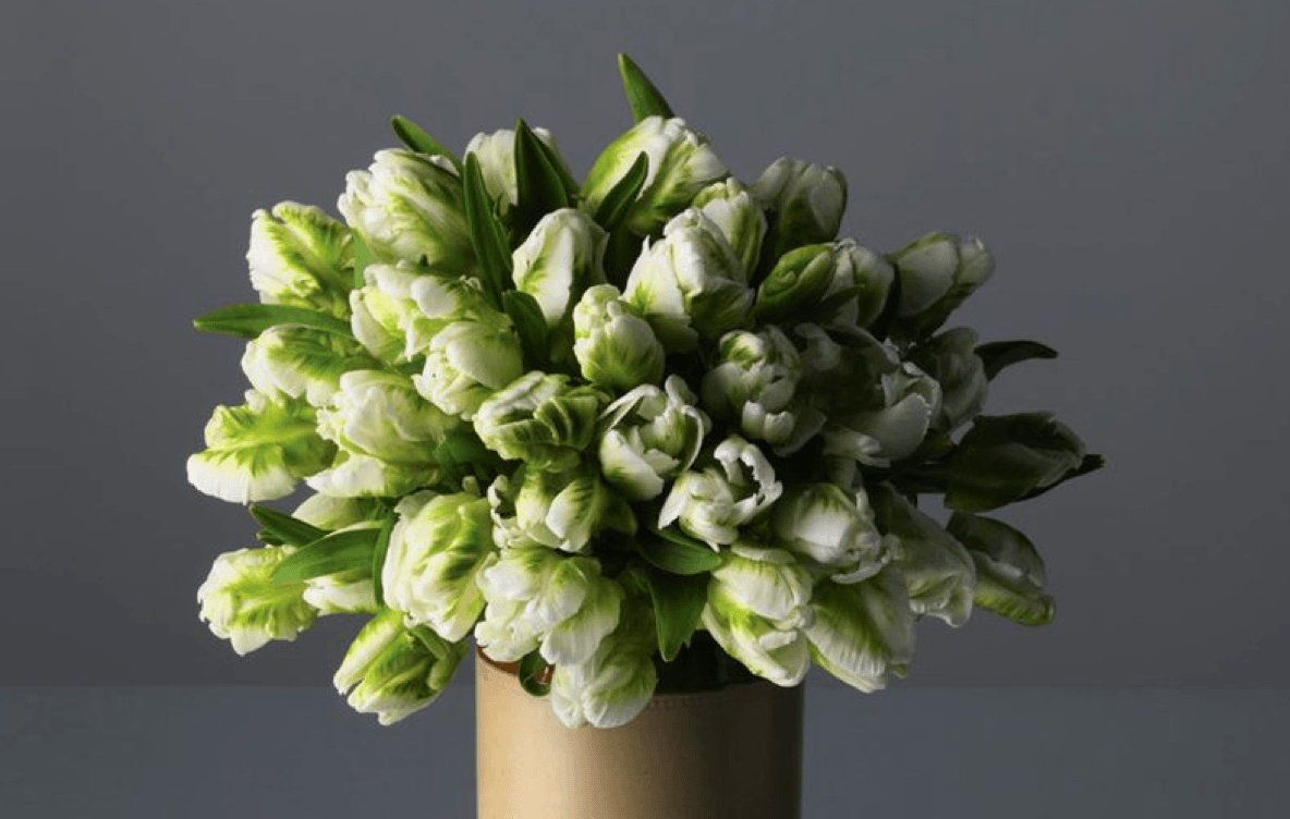 Flower Arranging