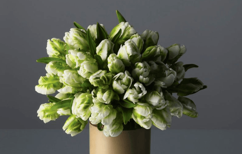 Flower Arranging