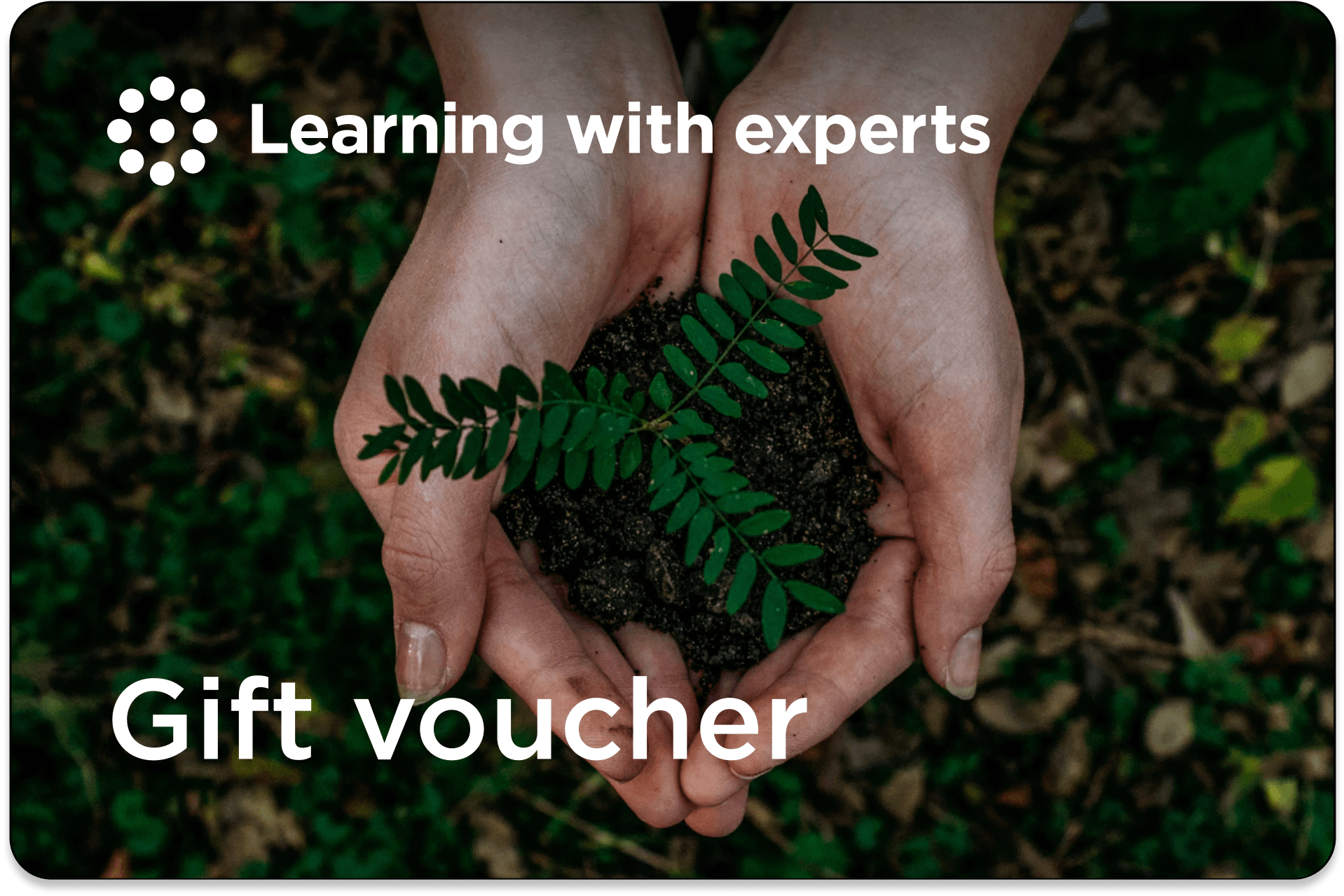 LWE Gift Cards