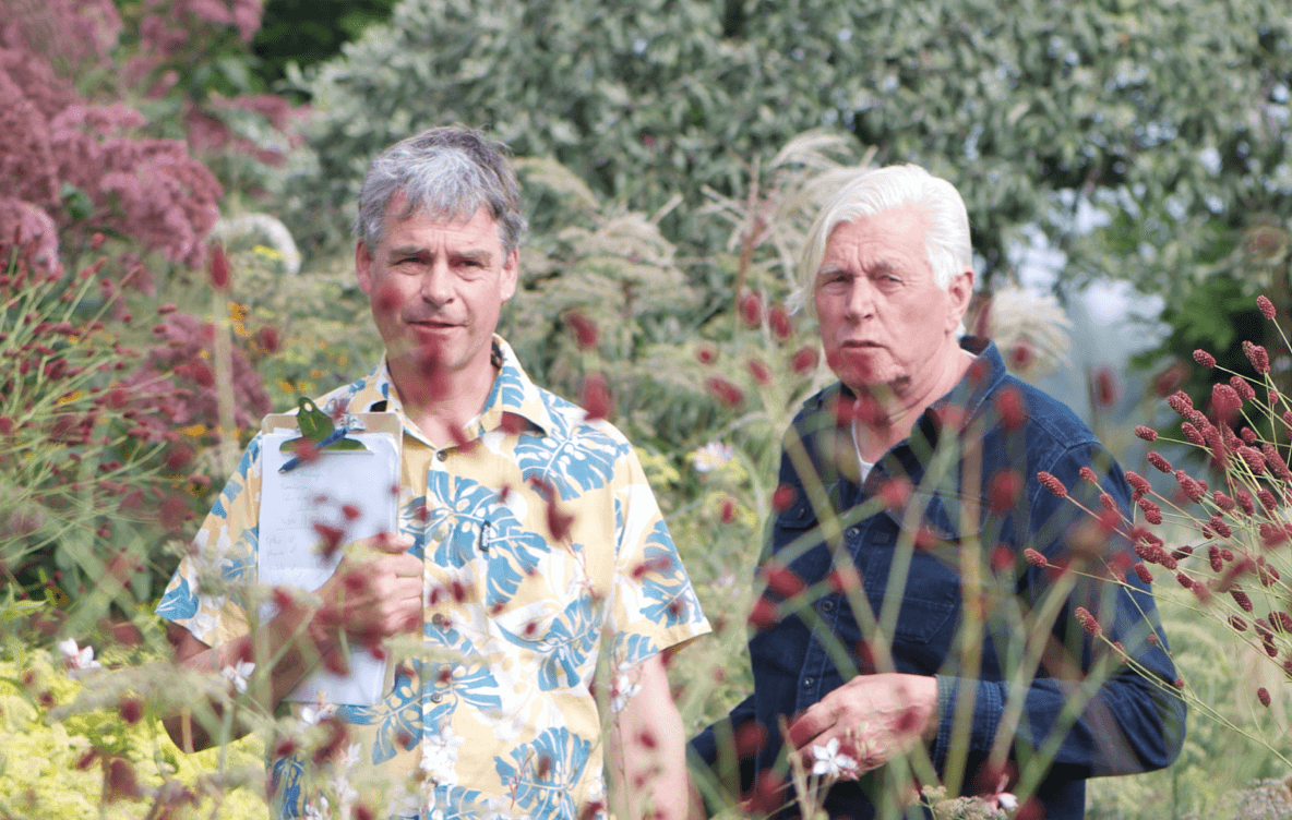 Planting like Piet Oudolf 