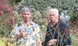 Planting like Piet Oudolf 