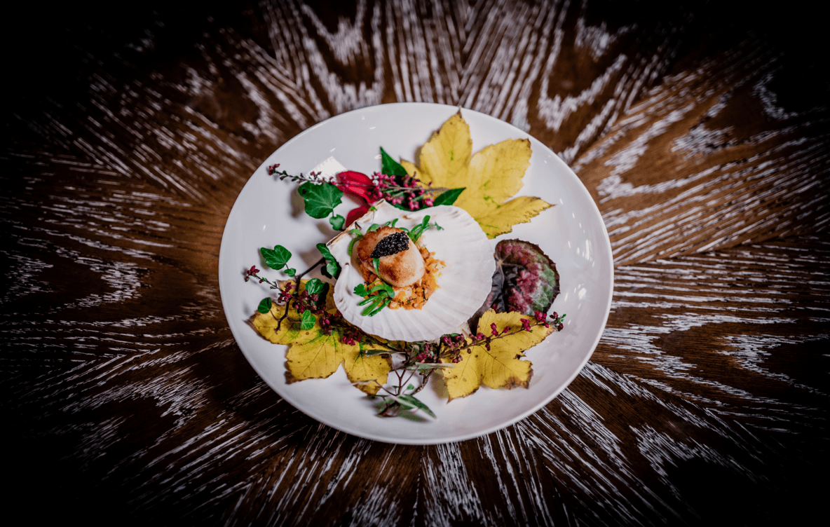 Scallops Extra