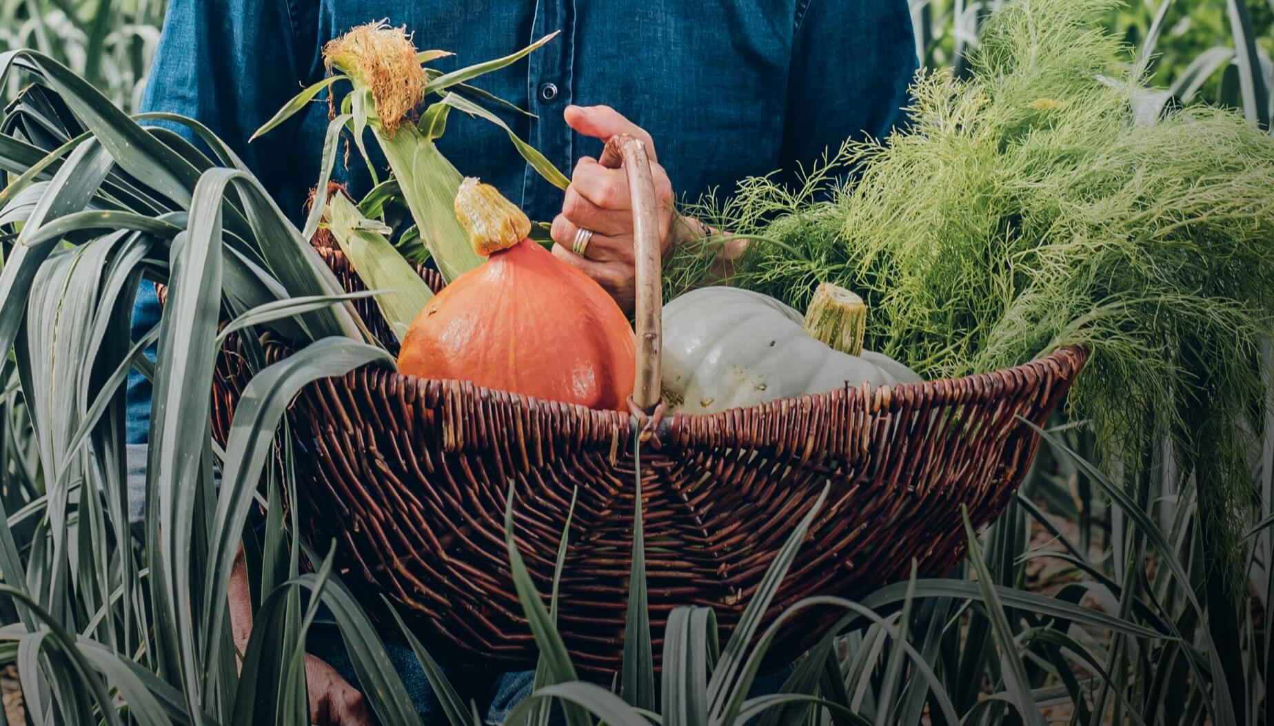 Eat the Veg Patch