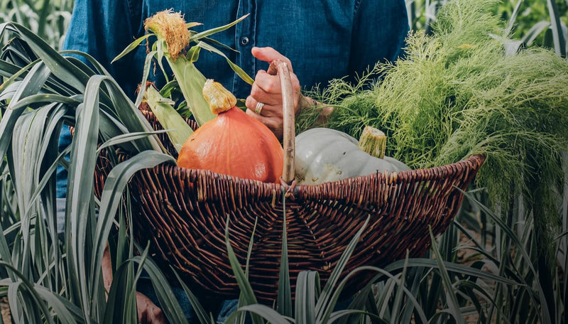 Eat the Veg Patch