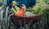 Eat the Veg Patch