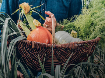 Eat the Veg Patch