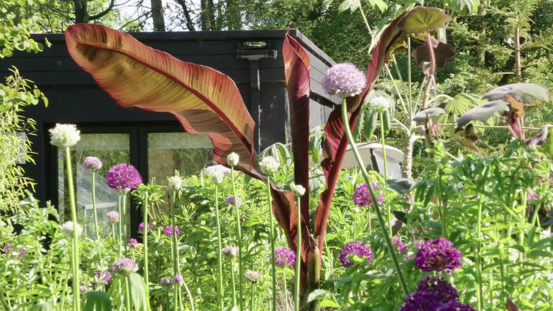 Planting Design from Hunting Brook Gardens (Spring & Early Summer)