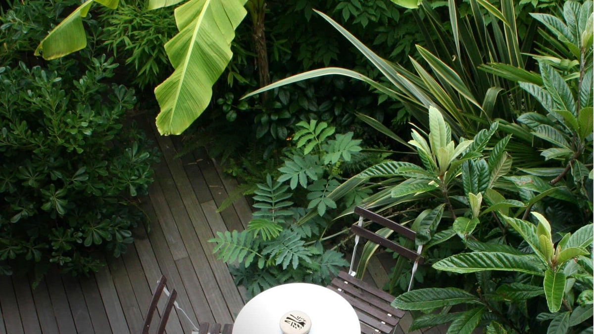 Designing Small Gardens