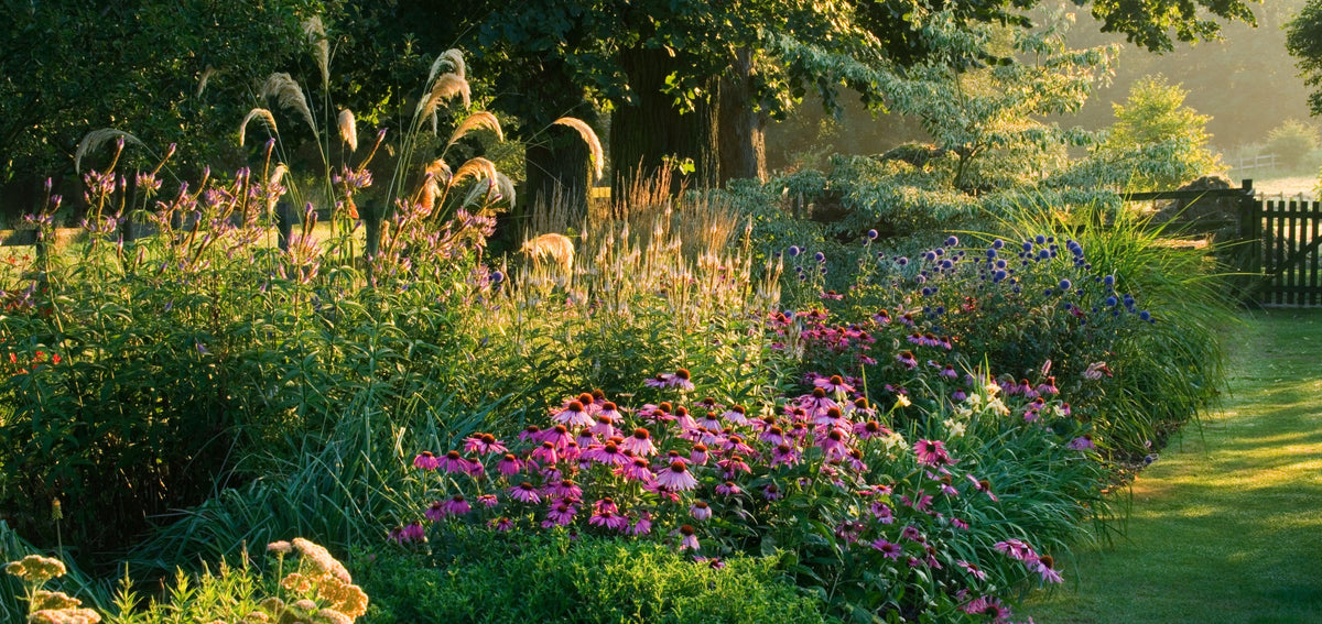 Professional Planting Design
