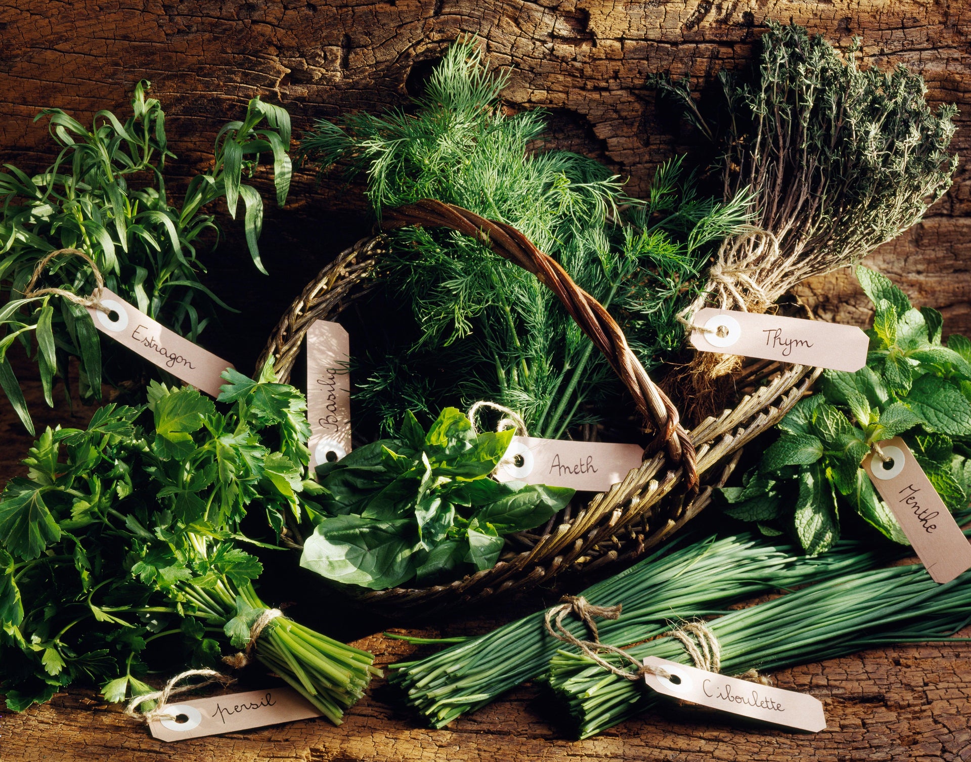 Herb Garden