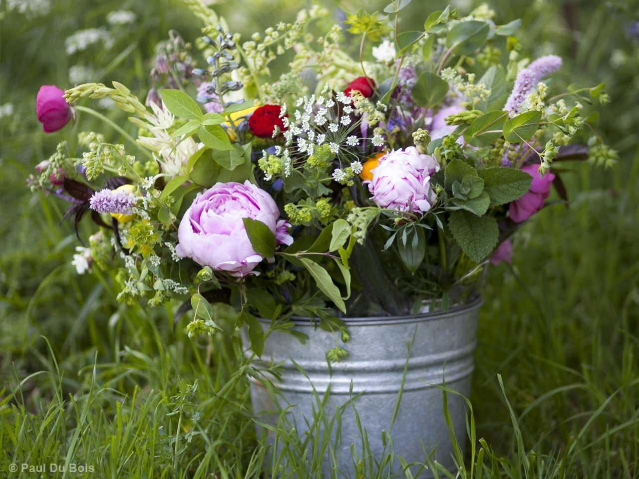 The Cutting Garden