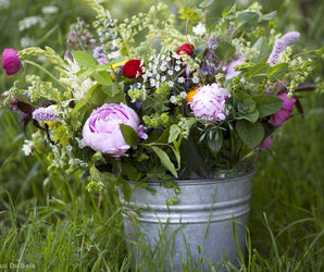 The Cutting Garden