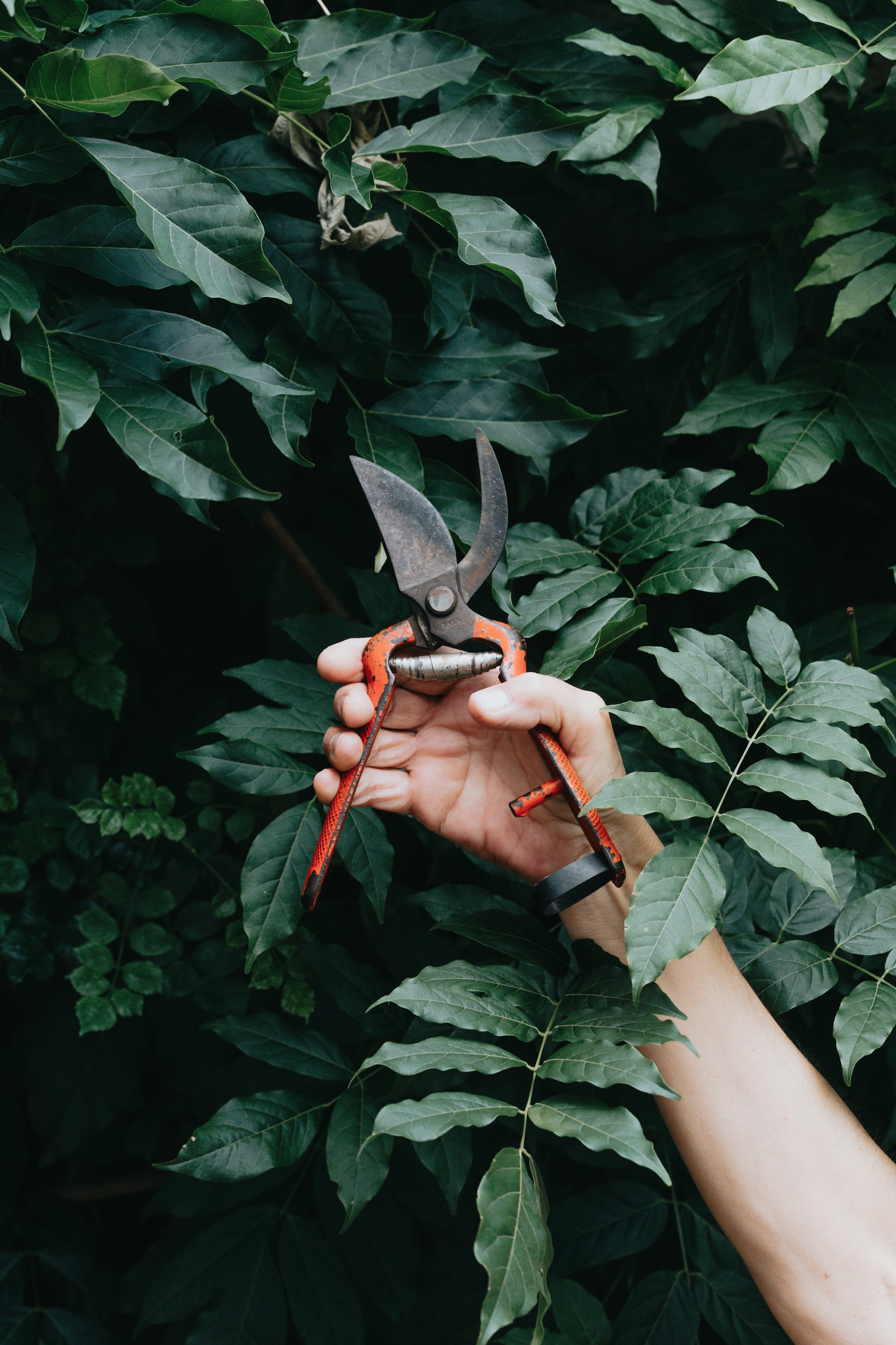 hand grips gardening tool